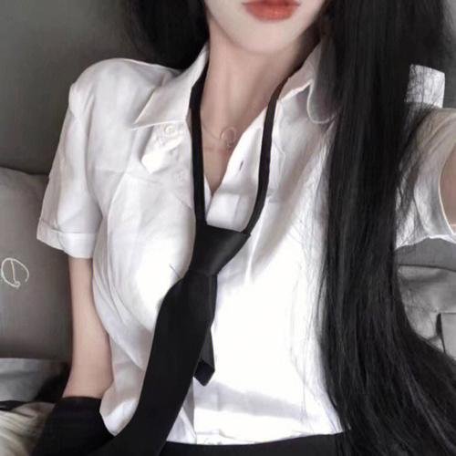 庇护棕榈树下